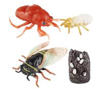 Figura de cigarra, modelo de crecimiento de insectos, juguete educativo, conjunto de animales realista con diseño detallado, proyecto científico con beneficios de aprendizaje temprano, para niños