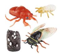 Figura de juguete de cigarra, modelo de cigarra - Miniatura del ciclo de crecimiento de la cigarra | Juego de juguetes con figuras de animales, ciclo de vida de la cigarra para aprender, relleno