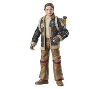 Figura de Juguete Hasbro Star Wars The Black Series Fern Multicolor 15 cm