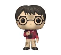 Funko Pop! HP: HP Anniversary - Harry Potter With The Stone - Figura de Vinilo Coleccionable - Idea de Regalo- Mercancia Oficial - Juguetes para Niños y Adultos - Movies Fans