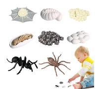 Figura Del Ciclo De Vida De La Araña: Juguete Educativo Preescolar, Actividad De Aprendizaje Del Crecimiento Animal | Juguete Práctico Science Para Niños A Partir De 3 Años, Desarrollo De N