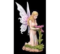 Figura Elfos - Florina Kniet Antes De Flor Hadas , Fairy, Ángel, Figura Decorativa, Artículo Decorativo, Estatua, Escultura, H 15 CM