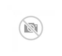 Figura ichibansho digimon adventure (clash of light and darkness) agumon & gabumon