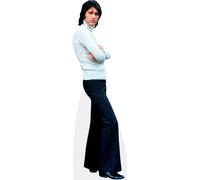 Figura Mini de cartón de Mike Brant (Pose) - Aproximadamente 60 cm - Decoración para Fiestas y Regalo para Fans
