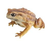 Figura Rana Realista - Educativo Anfibio, Lindo Mini Modelo | Escultura Fauna Selva Tropical para Niños Escuela Casa Aula Guardería Cumpleaños Regalo Relleno Calcetín