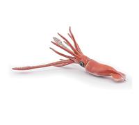 Figura Realista de Calamar Gigante, Colección Mundo Marino, Niños 3+ | Una criatura legendaria de las grandes profundidades marinas | pintada a mano | pieza de colección | regalo para todos