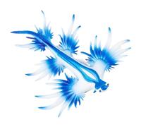 Figuras de Pulpo genéricas - Juguetes de decoración de Escultura de babosa de mar realista | Animal Statues for Learning Play, Mini Sea Life Collectibles para Les, Modelos de Pulpo para Oficina