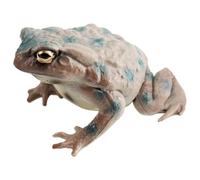 Figuras de rana realistas, juego de juguetes de animales para niños para ju