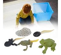 Figuras del Ciclo de Crecimiento de Animales para Niños, Juguete | Diseño de plástico duradero, mejora la experiencia de aprendizaje de los animales, ideal para decoración.