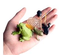Figuras del ciclo de vida - Figuras detalladas modelo animal, para las ciencias del aula, construcción duradera segura, herramientas de aprendizaje diversión creativa la educación de los