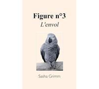 Figure n°3: L'envol