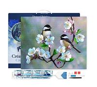 Figured'Art Diamond Painting Kit completo con marco - Cuadro 40x50cm de Pintura de Diamante - Bastidor montado - diamantes de imitación cuadrados - Pequeños pájaros y flores blancas - DIY Manualidades