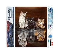 Figured'Art Diamond Painting Kit completo - Cuadro 40x50cm de Pintura de Diamante - Lienzo entero enrollado con diamantes de imitación cuadrados - Gatitos Reflexiones - 5D DIY Manualidades Adultos