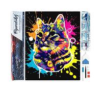 Figured'Art Diamond Painting Kit completo - Cuadro 40x50cm de Pintura de Diamante - Lienzo entero enrollado con diamantes de imitación cuadrados - Gato Splash Pop Art - 5D DIY Manualidades Adultos