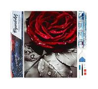 Figured'Art Diamond Painting Kit completo - Cuadro 40x50cm de Pintura de Diamante - Lienzo entero enrollado con diamantes de imitación cuadrados - Rosa roja 2-5D DIY Manualidades Creativas Adultos