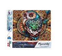 Figured'Art Diamond Painting Kit completo - Cuadro 40x50cm de Pintura de Diamante - Lienzo entero enrollado con diamantes de imitación cuadrados - Precioso búho - 5D DIY Manualidades Creativas Adultos