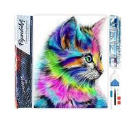 Figured'Art Diamond Painting Kit completo - Cuadro 40x50cm de Pintura de Diamante - Lienzo entero enrollado con diamantes de imitación cuadrados - Colorido gatito - 5D DIY Manualidades Adultos