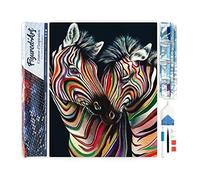 Figured'Art Diamond Painting Kit completo - Cuadro 40x50cm de Pintura de Diamante - Lienzo entero enrollado con diamantes de imitación cuadrados - Un par de cebras - 5D DIY Manualidades Adultos