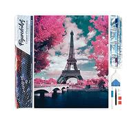 Figured'Art Diamond Painting Kit completo - Cuadro 40x50cm de Pintura de Diamante - Lienzo entero enrollado con diamantes de imitación cuadrados - Flores de la torre Eiffel - 5D DIY Manualidades