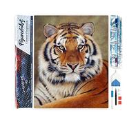 Figured'Art Diamond Painting Kit completo - Cuadro 40x50cm de Pintura de Diamante - Lienzo entero enrollado con diamantes de imitación cuadrados - Ojo de Tigre - 5D DIY Manualidades Creativas Adultos
