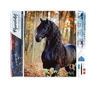 Figured'Art Diamond Painting Kit completo - Cuadro 40x50cm de Pintura de Diamante - Lienzo entero enrollado con diamantes de imitación cuadrados - Mar Negro - 5D DIY Manualidades Creativas Adultos