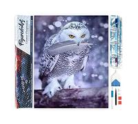 Figured'Art Diamond Painting Kit completo - Cuadro 40x50cm de Pintura de Diamante - Lienzo entero enrollado con diamantes de imitación cuadrados - Y pluma del búho - 5D DIY Manualidades Adultos