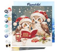 Figured'Art Mini Pintar por Números 20x20cm con marco para Adultos Búhos de Papá Noel leyendo - Manualidades con pintura acrílica - Kit Cuadro DIY completo