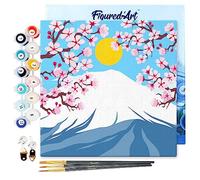 Figured'Art Mini Pintar por Números 20x20cm con marco para Adultos Monte Fuji - Manualidades con pintura acrílica - Kit Cuadro DIY completo