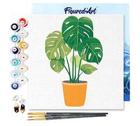 Figured'Art Mini Pintar por Números 20x20cm con marco para Adultos Planta verde - Manualidades con pintura acrílica - Kit Cuadro DIY completo