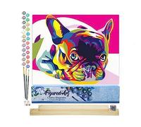 Figured'Art Pintar por Numeros Adultos Arte pop de Carlin - Manualidades pintura acrilica Kit Cuadro DIY completo - 40x50cm monta tu propio bastidor