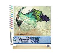Figured'Art Pintar por Numeros Adultos Bailando - Manualidades pintura acrilica Kit Cuadro DIY completo - 40x50cm monta tu propio bastidor