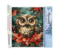 Figured'Art Pintar por Numeros Adultos Búho navideño - Manualidades pintura acrilica Kit Cuadro DIY completo - 40x50cm sin bastidor