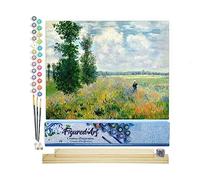 Figured'Art Pintar por Numeros Adultos Campo De Amapolas Monet - Manualidades pintura acrilica Kit Cuadro DIY completo - 40x50cm monta tu propio bastidor