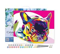 Figured'Art Pintar por Numeros Adultos con marco Arte pop de Carlin - Manualidades pintura acrilica Kit Cuadro DIY completo - 40x50cm con bastidor montado