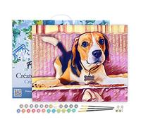 Figured'Art Pintar por Numeros Adultos con marco Beagle lindo - Manualidades pintura acrilica Kit Cuadro DIY completo - 40x50cm con bastidor montado
