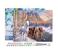 Figured'Art Pintar por Numeros Adultos con marco Caballos al final del invierno - Manualidades pintura acrilica Kit Cuadro DIY completo - 40x50cm con bastidor montado