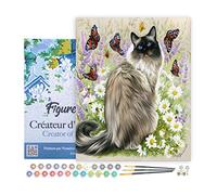 Figured'Art Pintar por Numeros Adultos con marco Descubrimiento de mariposas - Manualidades pintura acrilica Kit Cuadro DIY completo - 40x50cm con bastidor montado