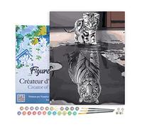 Figured'Art Pintar por Numeros Adultos con marco El Reflejo Del Gato - Manualidades pintura acrilica Kit Cuadro DIY completo - 40x50cm con bastidor montado
