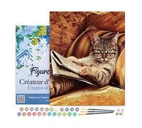 Figured'Art Pintar por Numeros Adultos con marco Gato Con Gafas De Leer - Manualidades pintura acrilica Kit Cuadro DIY completo - 40x50cm con bastidor montado