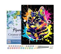 Figured'Art Pintar por Numeros Adultos con marco Gato Splash Pop Art - Manualidades pintura acrilica Kit Cuadro DIY completo - 40x50cm con bastidor montado
