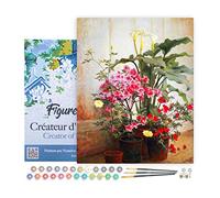 Figured'Art Pintar por Numeros Adultos con marco Lado de un invernadero - George Cochran Lambdin - Manualidades pintura acrilica Kit Cuadro DIY completo - 40x50cm con bastidor montado