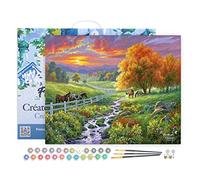 Figured'Art Pintar por Numeros Adultos con marco Pradera soleada - Manualidades pintura acrilica Kit Cuadro DIY completo - 40x50cm con bastidor montado
