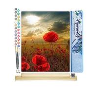 Figured'Art Pintar por Numeros Adultos Flores Bajo La Luz Del Sol - Manualidades pintura acrilica Kit Cuadro DIY completo - 40x50cm monta tu propio bastidor