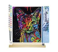Figured'Art Pintar por Numeros Adultos Gato Pop Art - Manualidades pintura acrilica Kit Cuadro DIY completo - 40x50cm monta tu propio bastidor