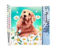 Figured'Art Pintar por Numeros Adultos Golden retriever - Manualidades pintura acrilica Kit Cuadro DIY completo - 40x50cm sin bastidor