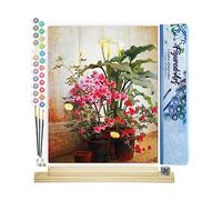 Figured'Art Pintar por Numeros Adultos Lado de un invernadero - George Cochran Lambdin - Manualidades pintura acrilica Kit Cuadro DIY completo - 40x50cm monta tu propio bastidor