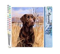 Figured'Art Pintar por Numeros Adultos Perro Labrador - Manualidades pintura acrilica Kit Cuadro DIY completo - 40x50cm sin bastidor