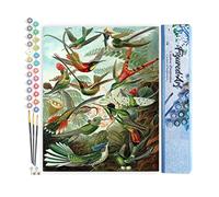 Figured'Art Pintar por Numeros Adultos Todos los pájaros - Manualidades pintura acrilica Kit Cuadro DIY completo - 40x50cm sin bastidor