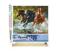 Figured'Art Pintar por Numeros Adultos Tres Caballos A Galope - Manualidades pintura acrilica Kit Cuadro DIY completo - 40x50cm monta tu propio bastidor