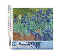 Figured'Art Pintar por Numeros Adultos Van Gogh Iris 1 - Manualidades pintura acrilica Kit Cuadro DIY completo - 40x50cm sin bastidor